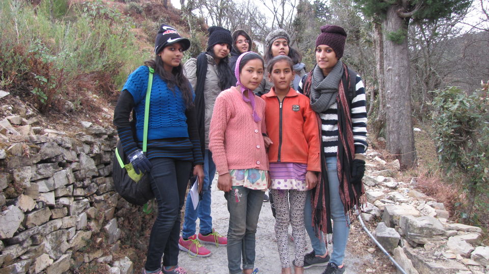 Photo of KUMAON SAFARI 7/22 by Kanika Sharma Shutterbug