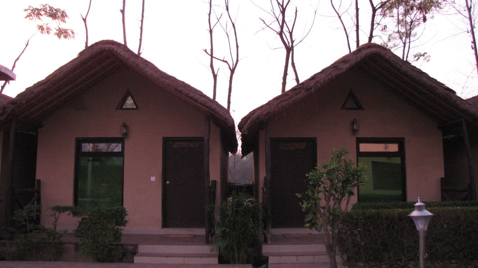 Photo of KUMAON SAFARI 17/22 by Kanika Sharma Shutterbug
