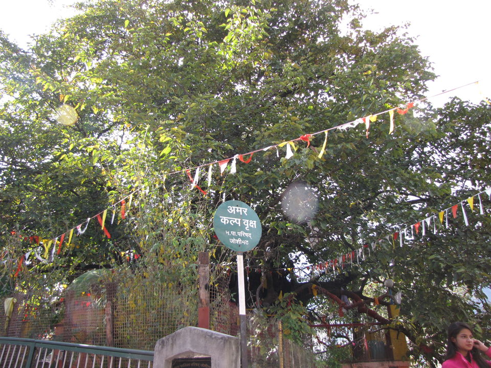 Photo of Devbhoomi Excursion 7/17 by Kanika Sharma Shutterbug