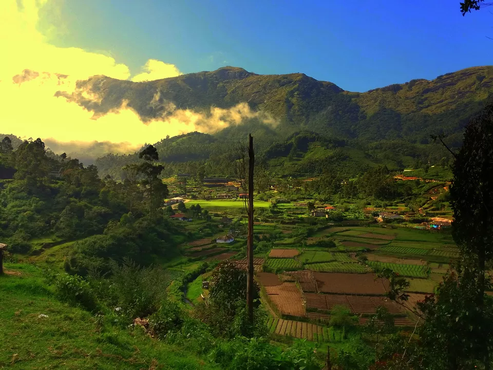 Photo of Munnar, Kerala, India by Arun K C