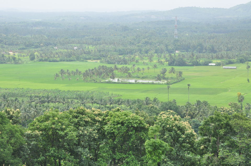 Photo of Palakkad, Kerala, India by Arun K C