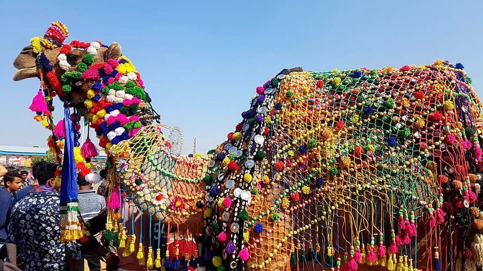 Photo of 9 Most Iconic Experiences In Rajasthan That You Can't Miss! by Sinchita Sinha