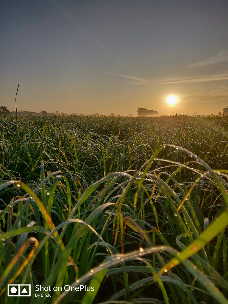 Photo of Chikmangulur by Bindu reddy