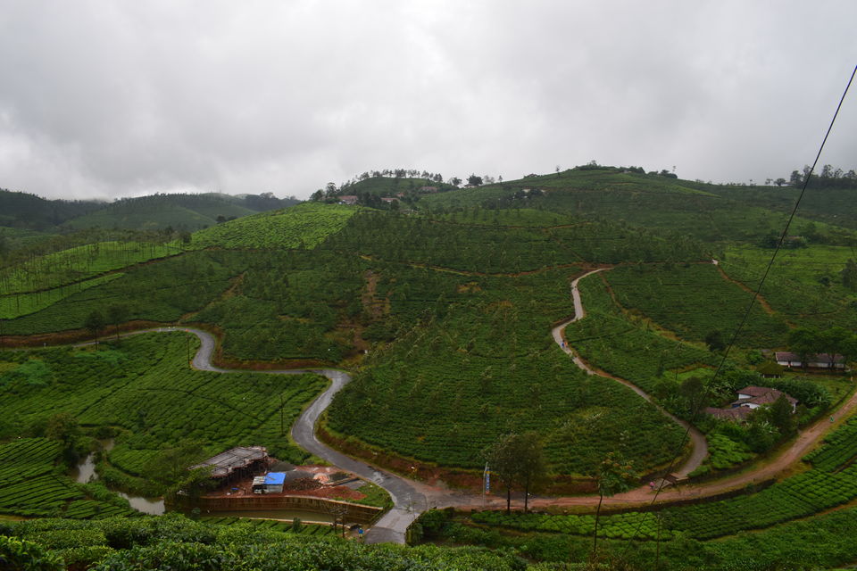 Photo of Kuttikanam & Vagamon; two of Kerala's best kept secrets 1/3 by Charlotte Rodricks