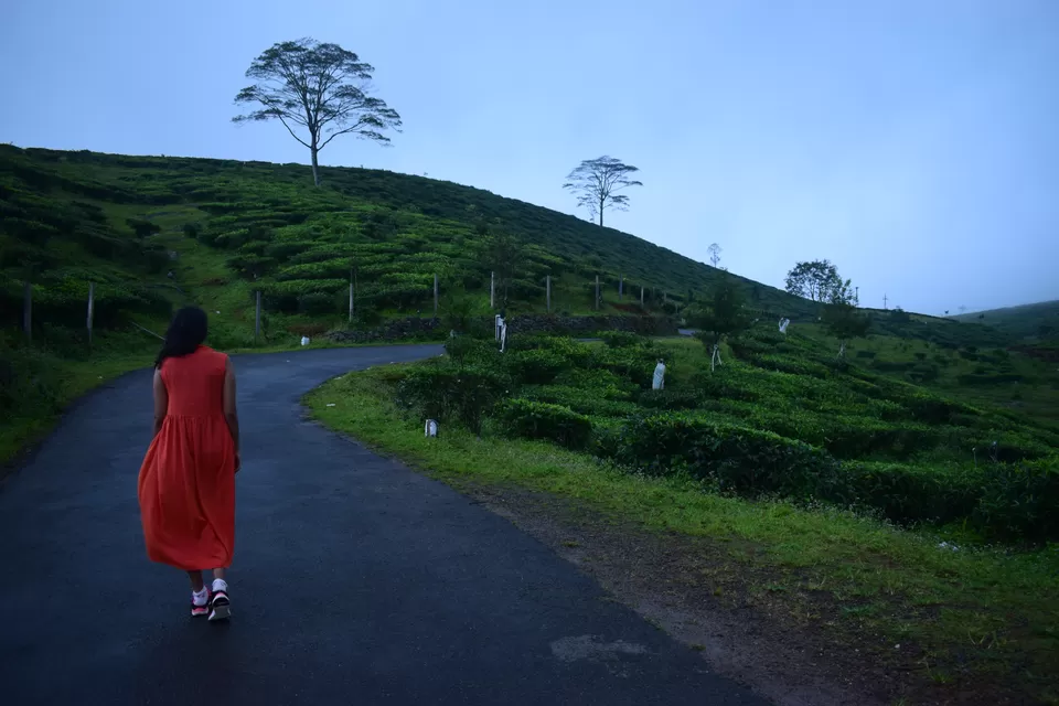 Photo of Vagamon, Kerala, India by Charlotte Rodricks