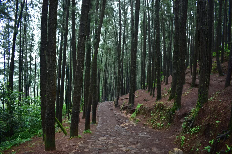 Photo of Vagamon, Kerala, India by Charlotte Rodricks