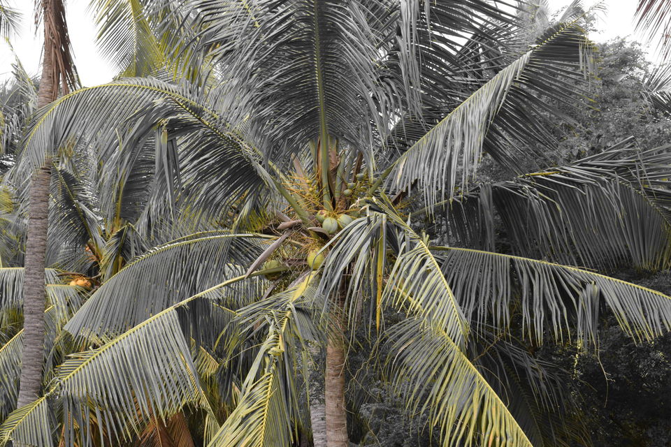 Photo of Kanyakumari; Travel hacks & Tips by Charlotte Rodricks