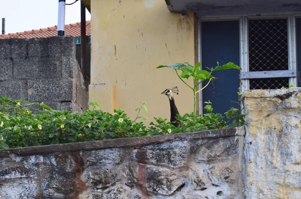 Photo of Kanyakumari, Tamil Nadu, India by Charlotte Rodricks