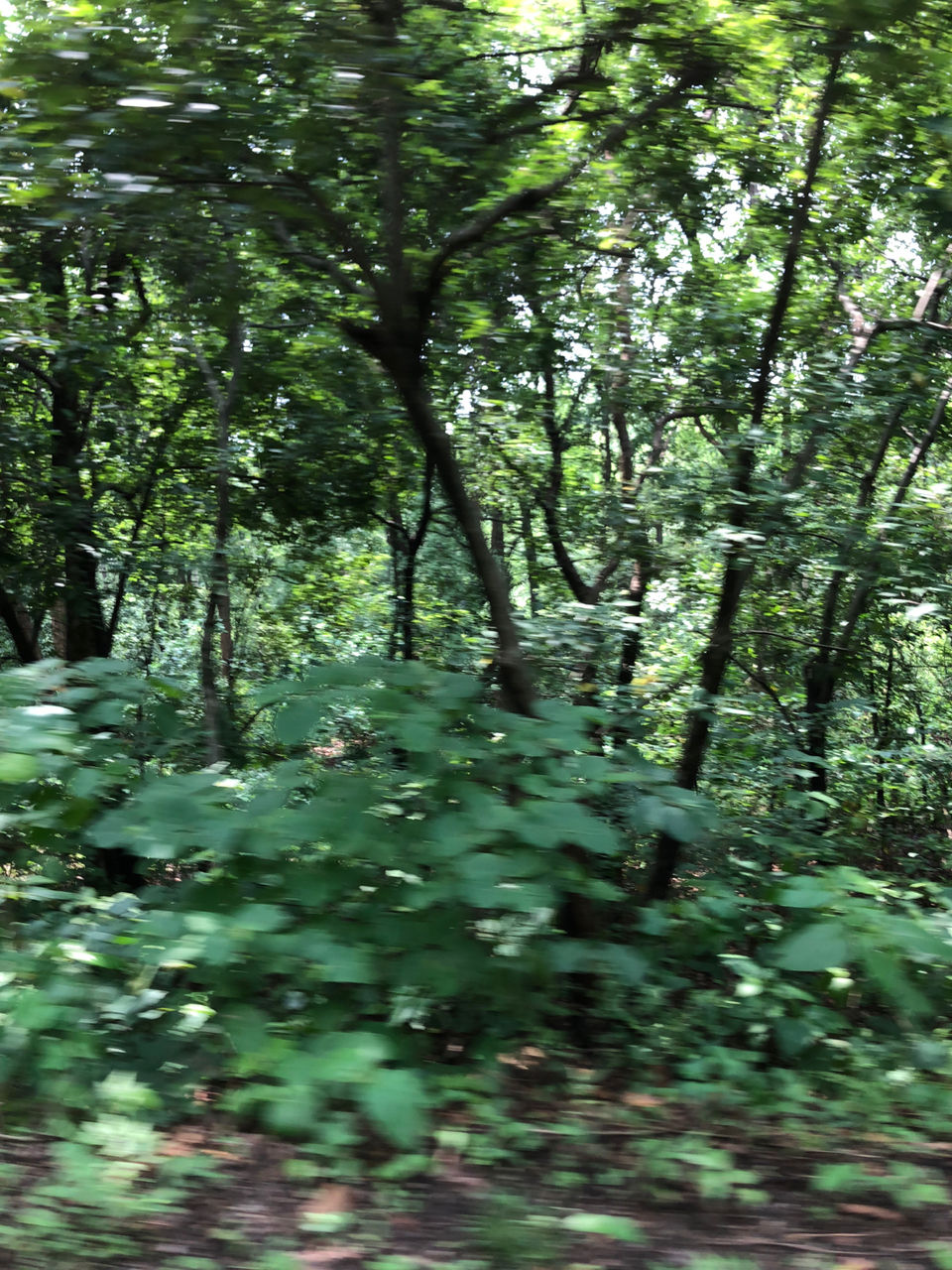 Photo of Kimsar by Aayush malviya