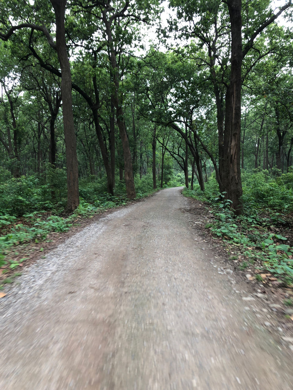 Photo of Kimsar by Aayush malviya