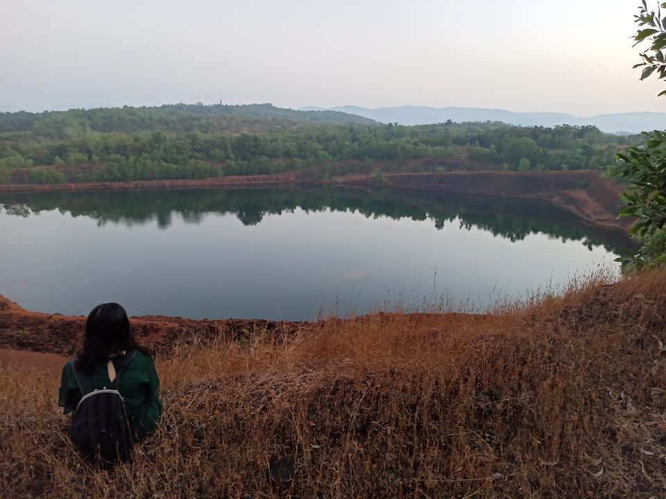 Photo of Curious case of mango traveler 1/1 by Shailja Vasisht
