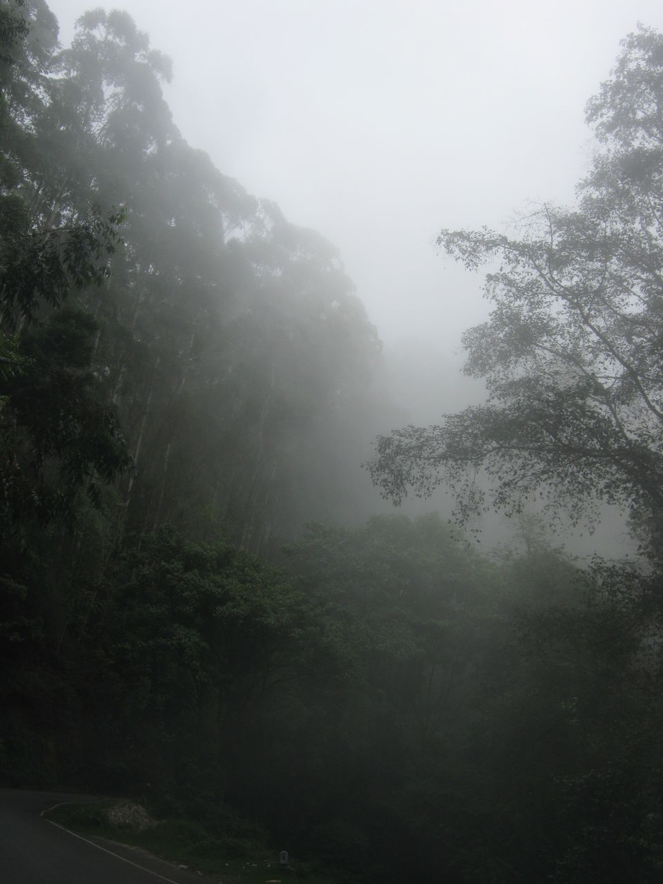 Photo of Trip Down South 26/29 by Pratik Jena