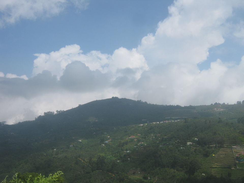 Photo of Trip Down South 27/29 by Pratik Jena