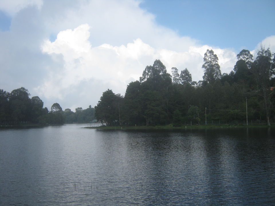 Photo of Trip Down South 29/29 by Pratik Jena