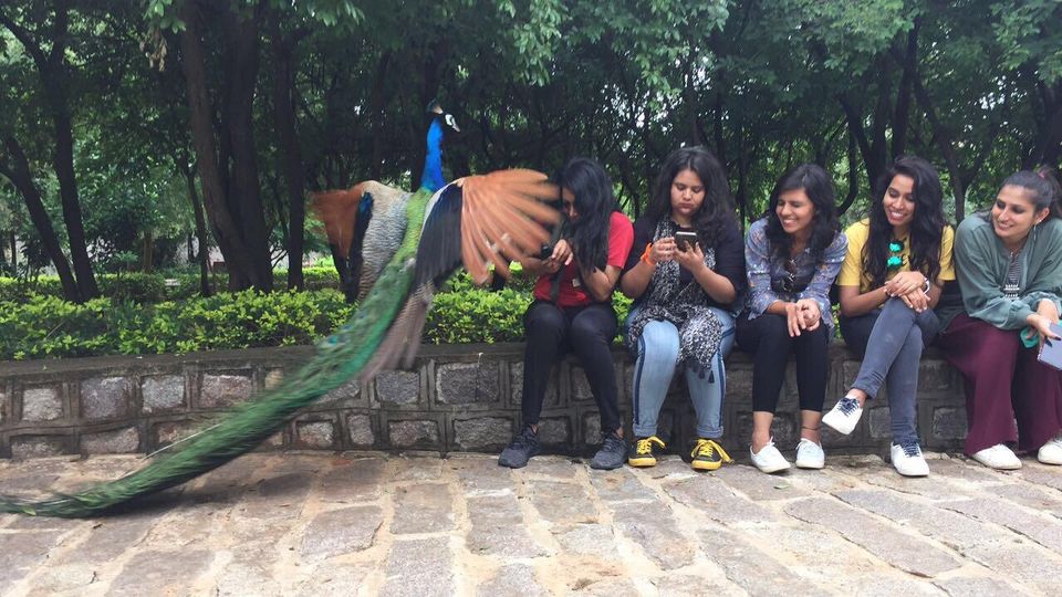 Photo of A day trip to chupa hua Kila aka The Hidden Castle by Neha Singh