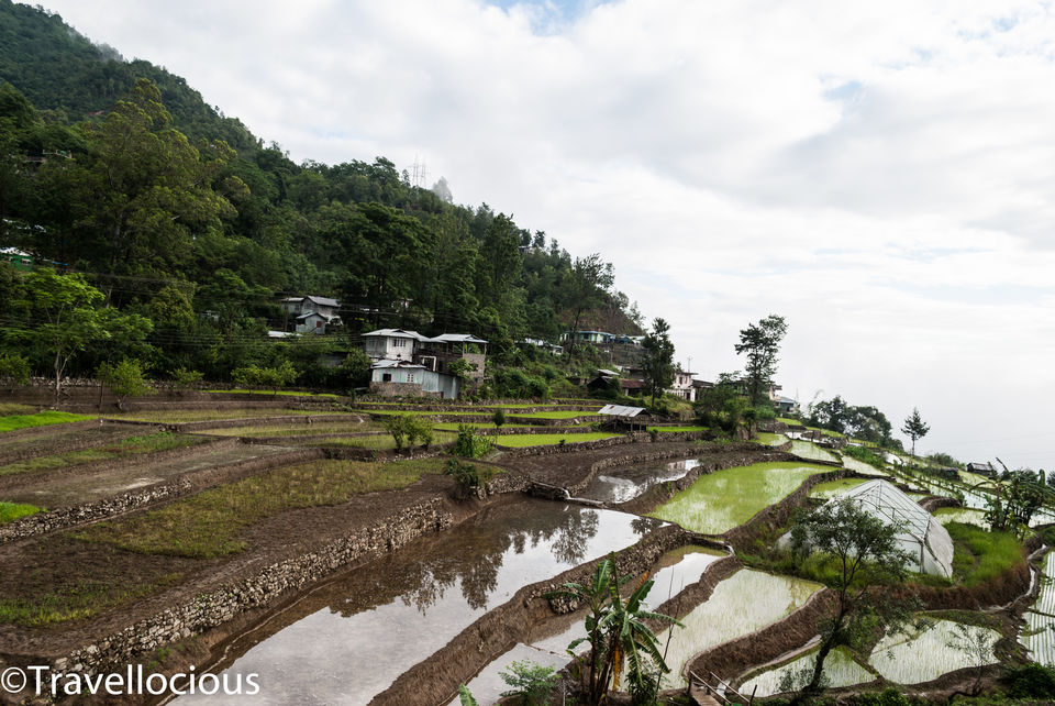 Photo of JAPFII HOMESTAY, Zakhama, Nagaland, India by Brunda Rao Nagraj