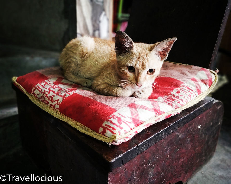 Photo of JAPFII HOMESTAY, Zakhama, Nagaland, India by Brunda Rao Nagraj