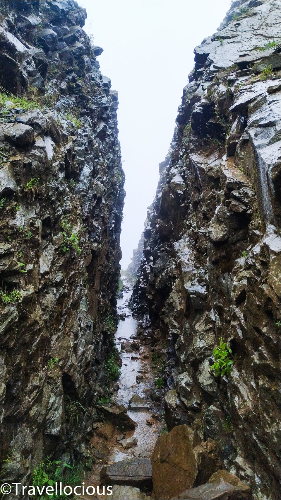 Photo of Dzükou Valley, Viswema, Nagaland, India by Brunda Rao Nagraj
