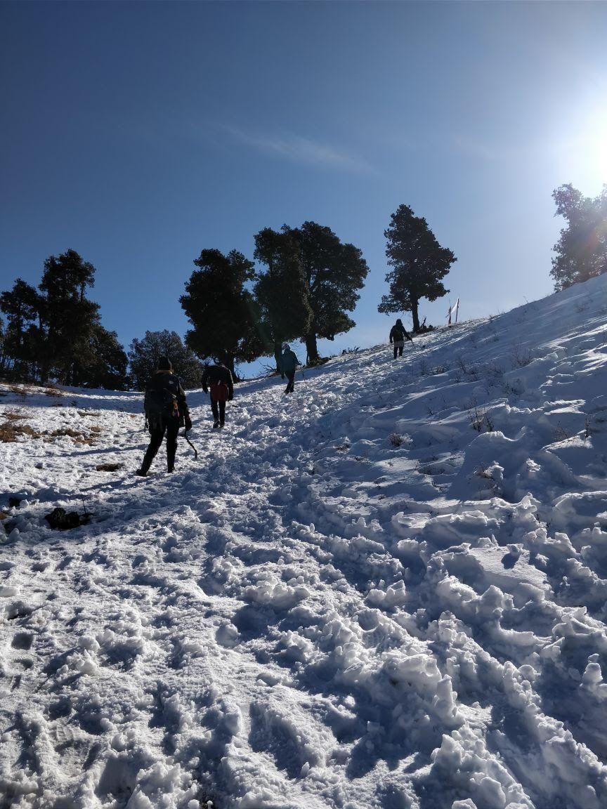 Photo of A Terrific first Snow Trek - Nag Tibba by Shivika Gupta