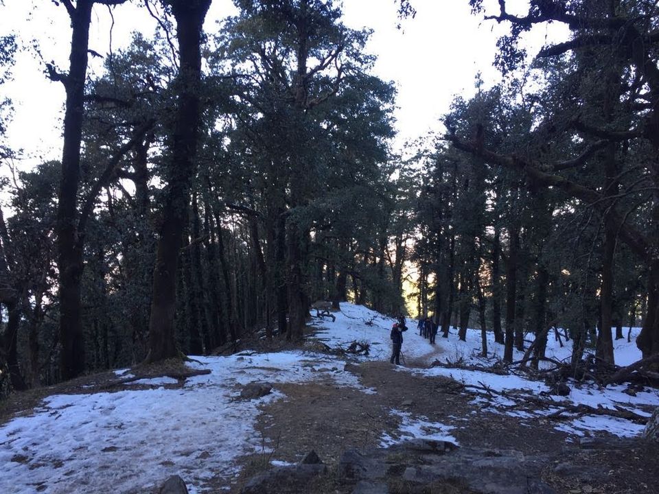 Photo of Nag Tibba Trek, Nainbag, Uttarakhand, India by Shivika Gupta