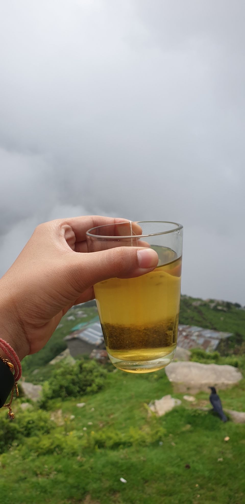Photo of Triund, Himachal Pradesh by Priyapreet Kaur