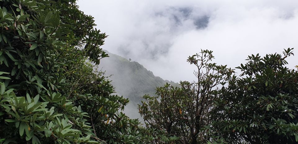 Photo of Triund, Himachal Pradesh by Priyapreet Kaur