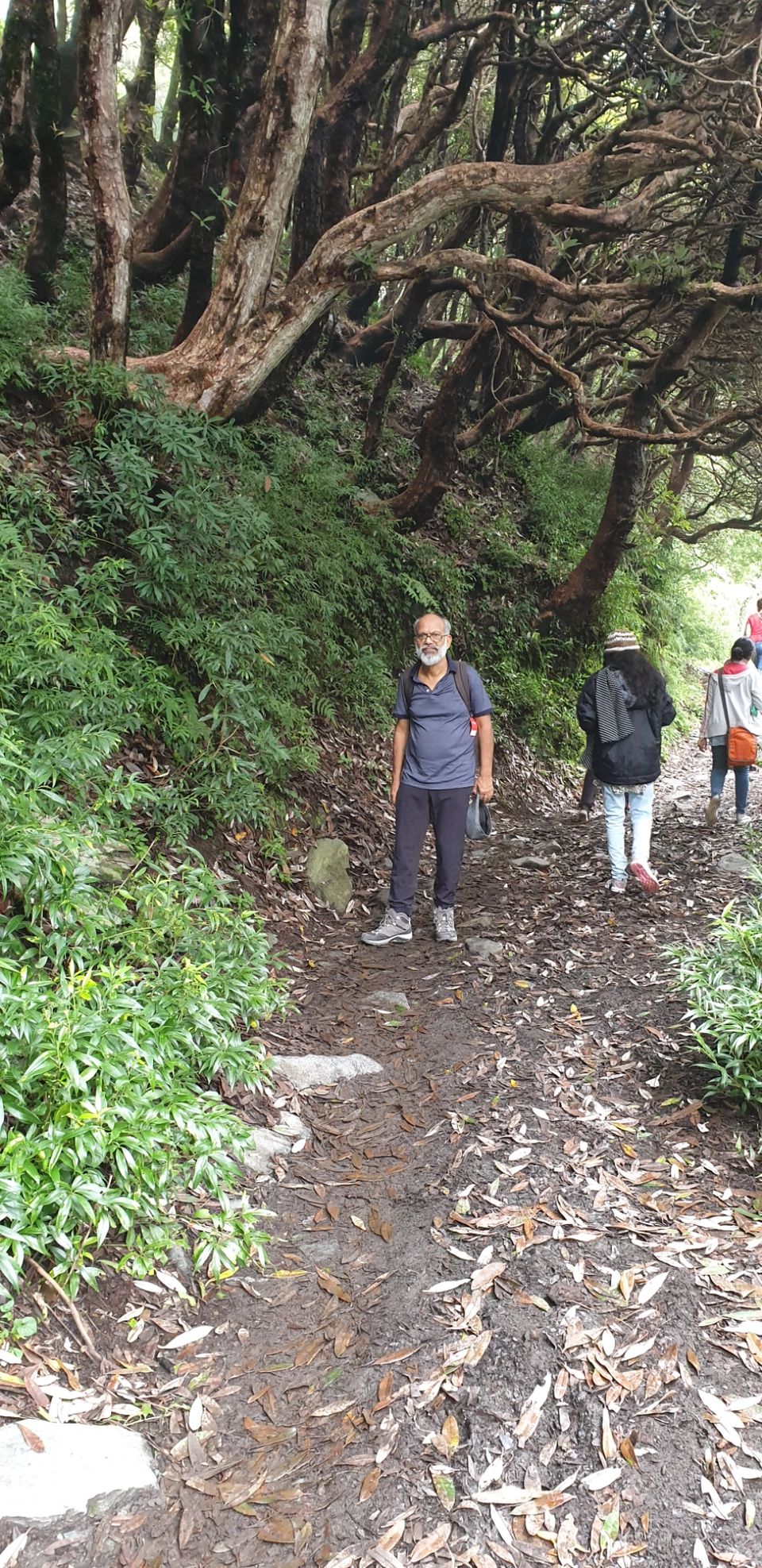 Photo of Triund, Himachal Pradesh by Priyapreet Kaur