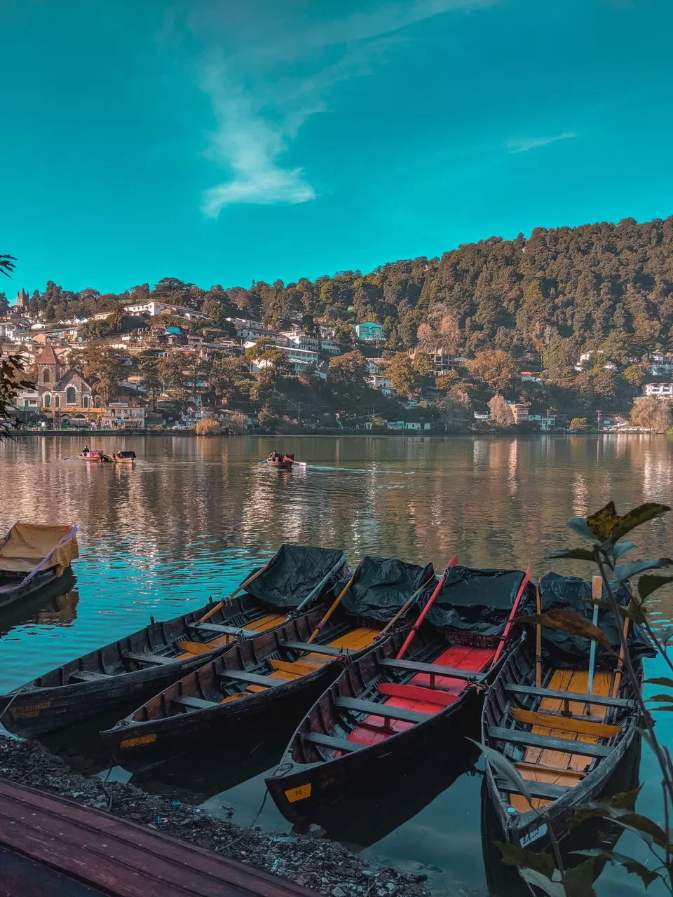 Photo of Naini Lake, Block A 2, Model Town Phase I, Model Town, Delhi by Wanderlust Himani