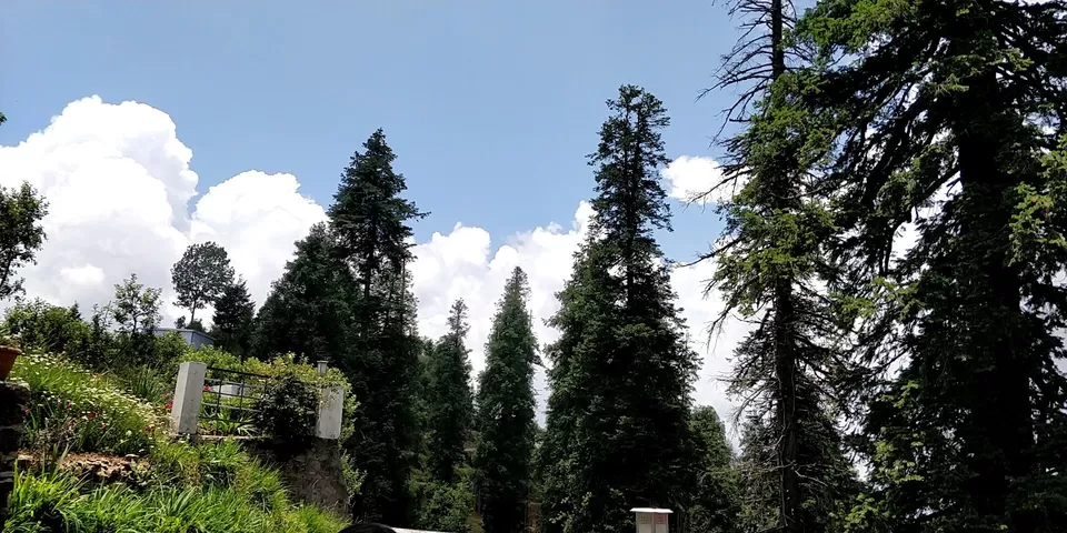 Photo of The Hermitage Kanatal, Chamba - Mussoorie Road, HIGHWAY, P.O, Kanatal, Tehri Range, Uttarakhand, India by Utkarsha Ahuja