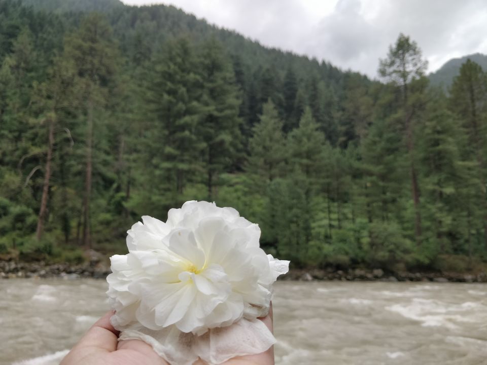 Photo of The Hamlet in India 1/14 by Utkarsha Ahuja