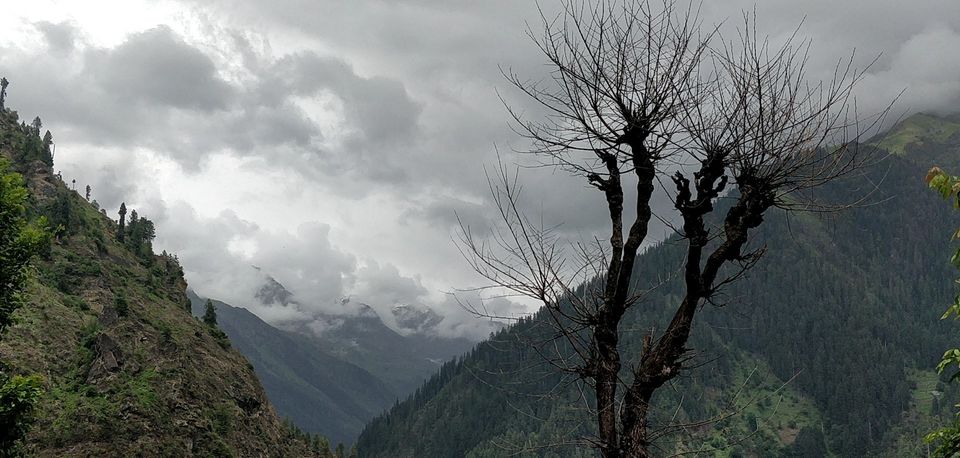 Photo of The Hamlet in India 10/14 by Utkarsha Ahuja
