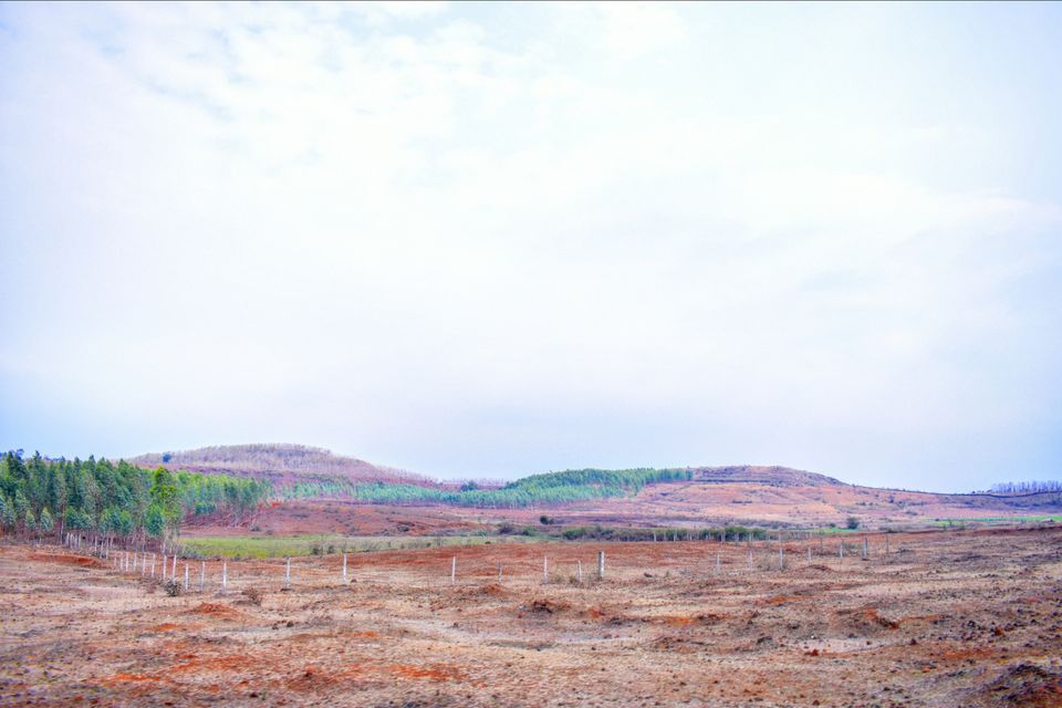 Photo of Weekend getaway to Jabalpur-Bargi by kanaya dutta