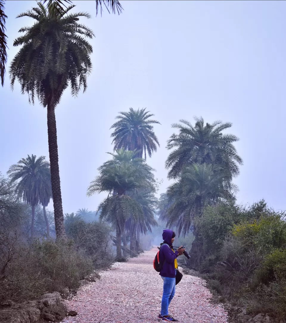 Photo of This February-March, nature enthusiasts can gear up for a serene experience at this national park by kanaya dutta