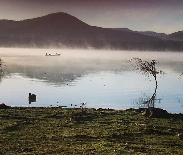 Photo of CAMPING by Akanksha Arora Sharma