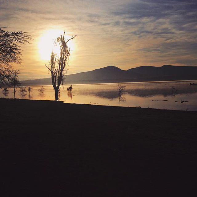Photo of CAMPING by Akanksha Arora Sharma