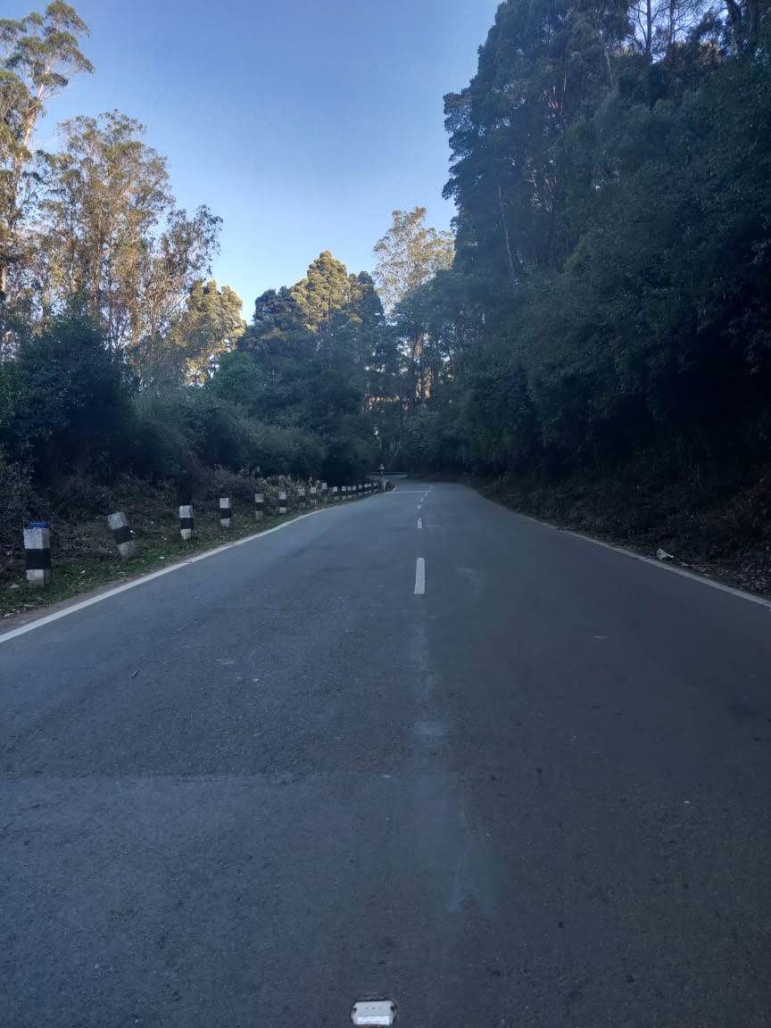 Photo of Escape to the Nilgiri's by shahana jagalur