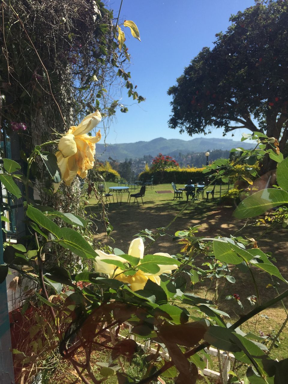 Photo of Escape to the Nilgiri's by shahana jagalur