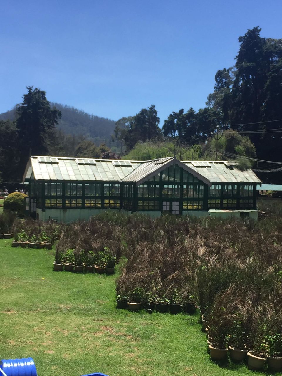 Photo of Escape to the Nilgiri's by shahana jagalur