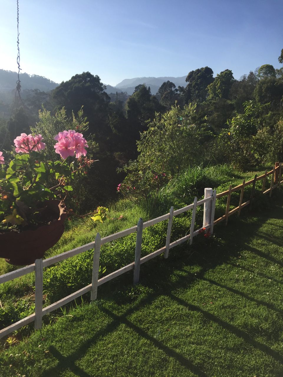 Photo of This cozy cafe in Coonoor will take your breathe away! by shahana jagalur