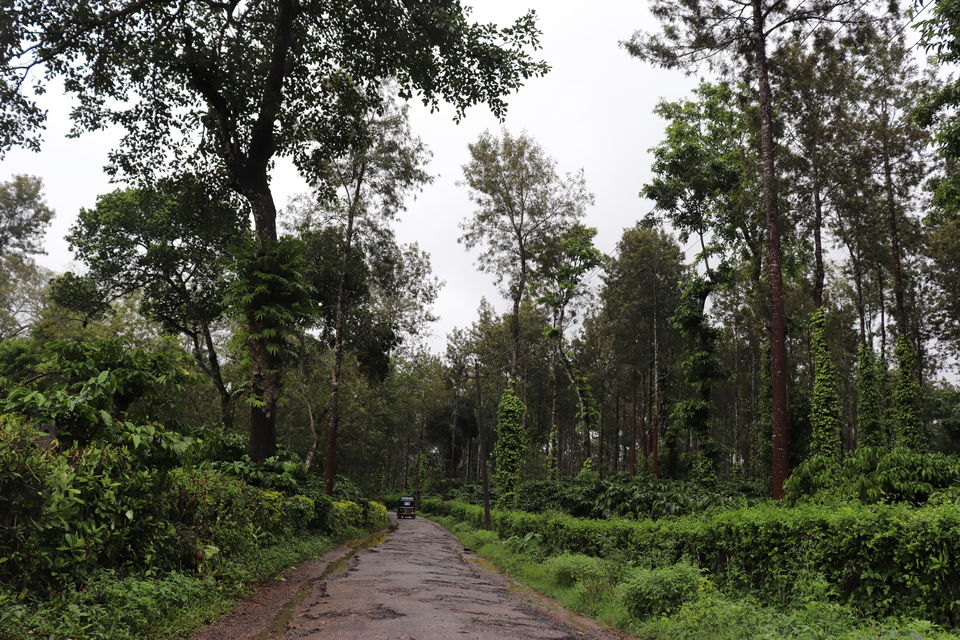 Photo of Coorg - The perfect getaway from city life! 1/1 by shahana jagalur
