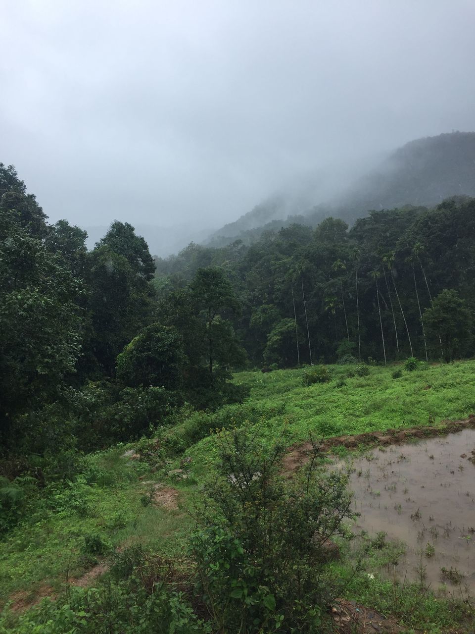 Photo of Mandalpatti Peak, Madikeri, Karnataka, India by shahana jagalur
