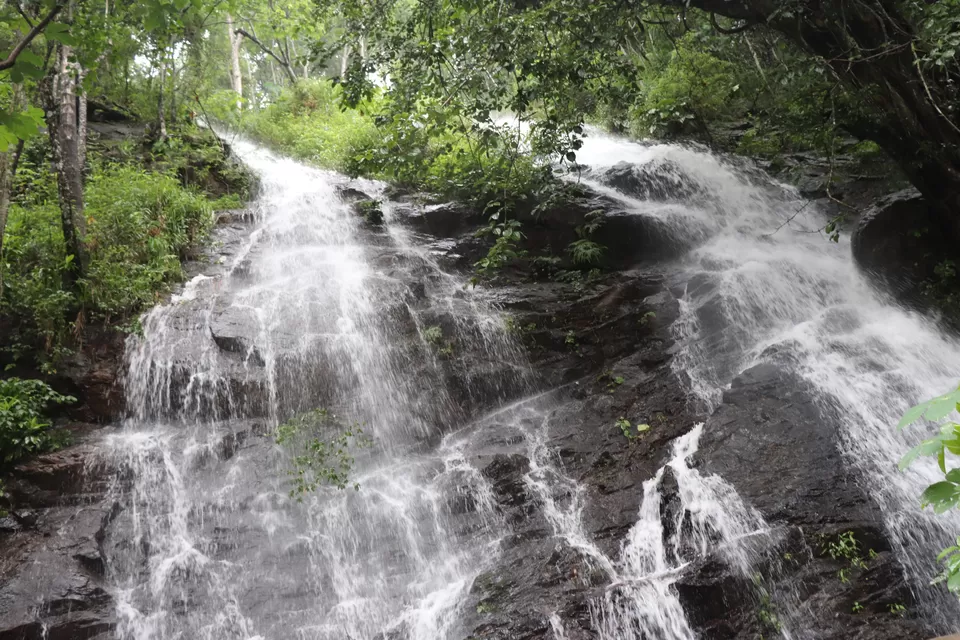 Photo of Coorg, Karnataka, India by shahana jagalur