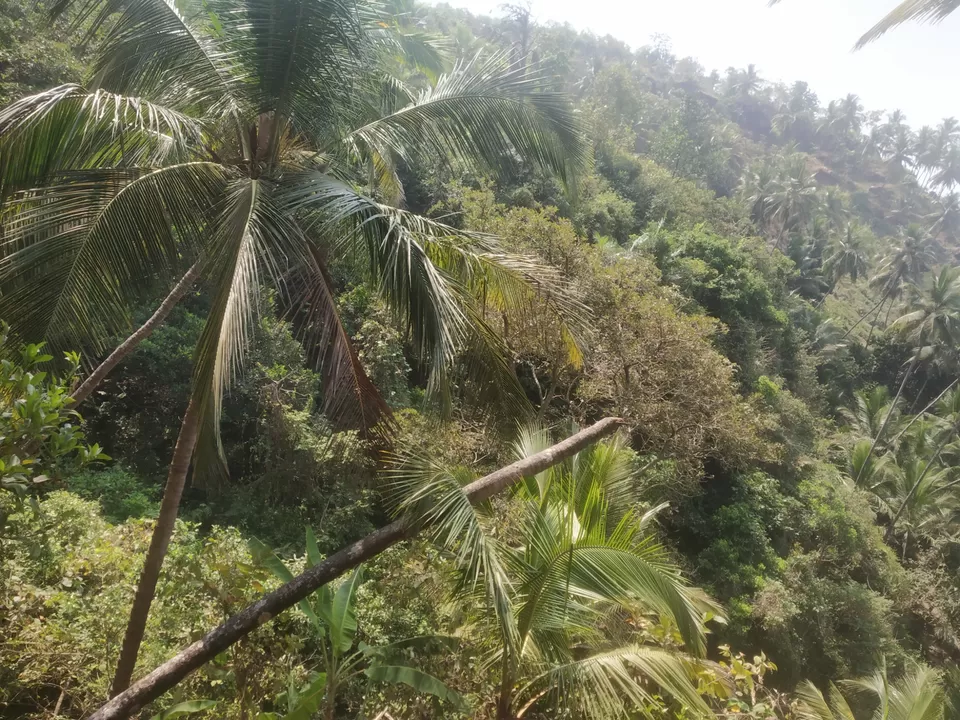 Photo of Hidden gem of Goa by Roseferns30