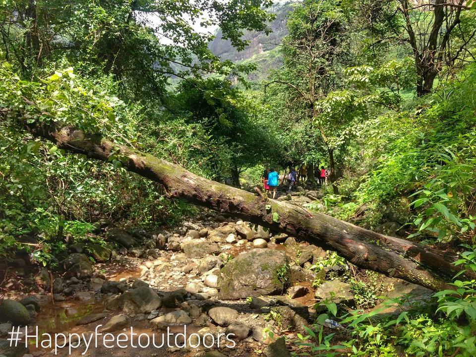 Photo of Mighty Devkund Waterfall by Nikhil Inamdar