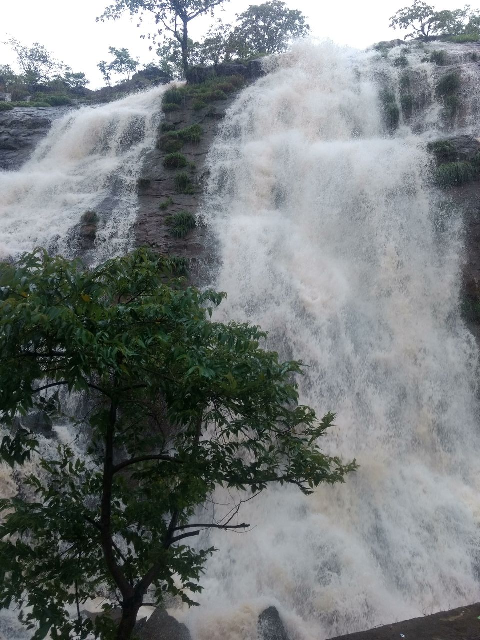 Photo of Mighty Devkund Waterfall by Nikhil Inamdar
