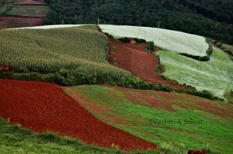 Photo of Huashitou, Kunming, Yunnan, China by Come Cross the Line