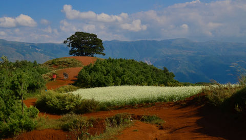 Photo of Dongchuan Red Land: A Paradise of Southern China Where You Can't Stop Clicking by Come Cross the Line