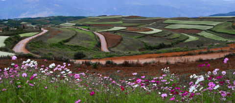 Photo of Dongchuan Red Land: A Paradise of Southern China Where You Can't Stop Clicking by Come Cross the Line