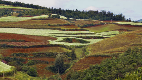 Photo of Dongchuan Red Land: A Paradise of Southern China Where You Can't Stop Clicking by Come Cross the Line