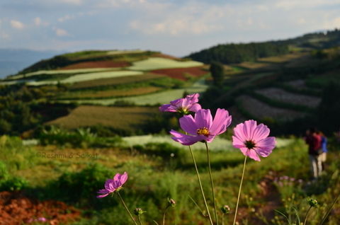 Photo of Dongchuan Red Land: A Paradise of Southern China Where You Can't Stop Clicking by Come Cross the Line